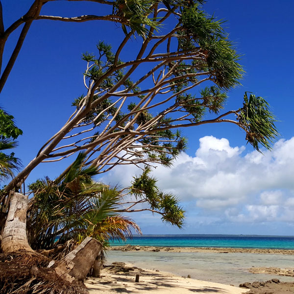 Enhanced Acute Febrile Illness surveillance in Fiji